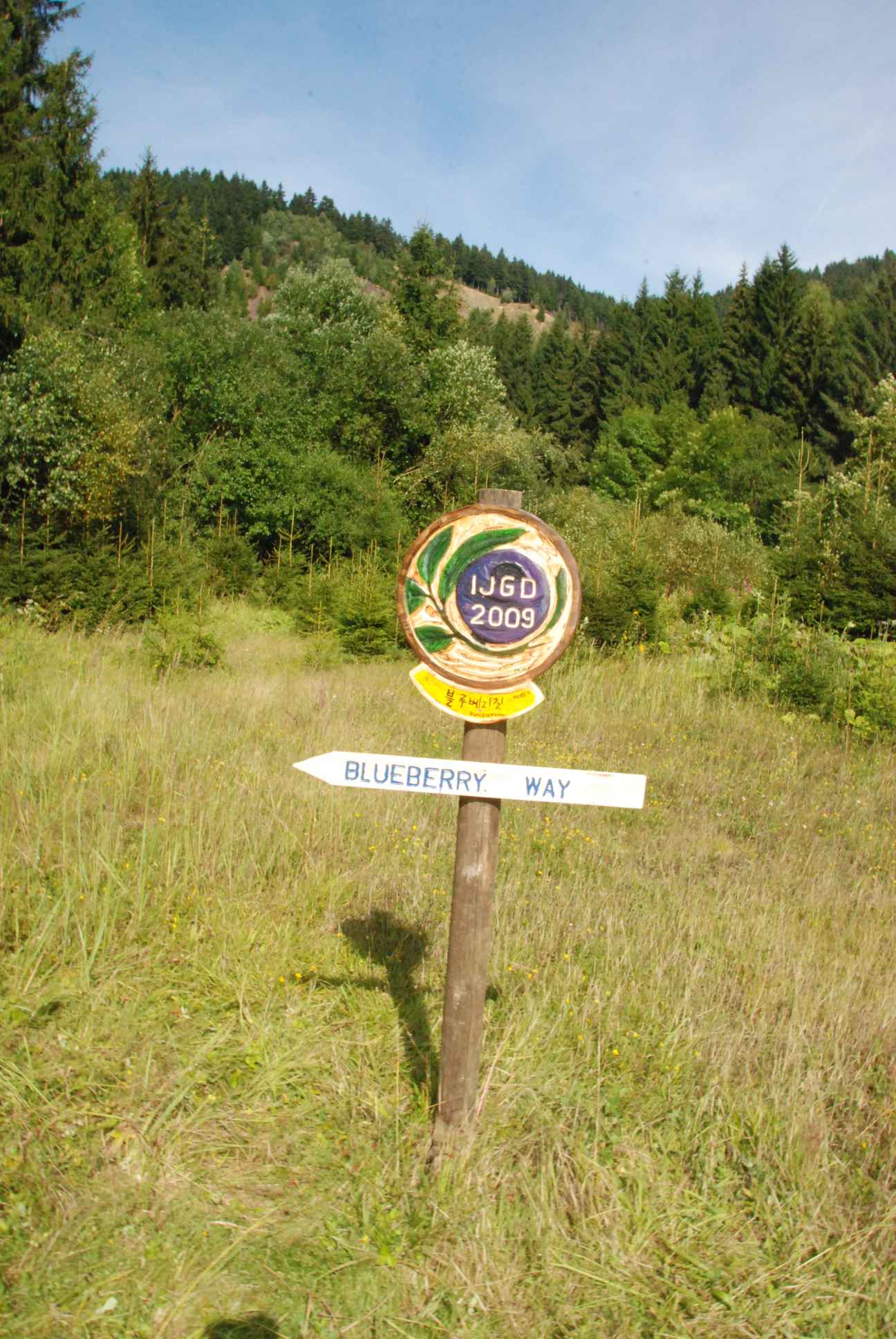 2009-08-15_ntb_4867