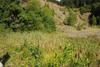 2009-08-15_ntb_4871