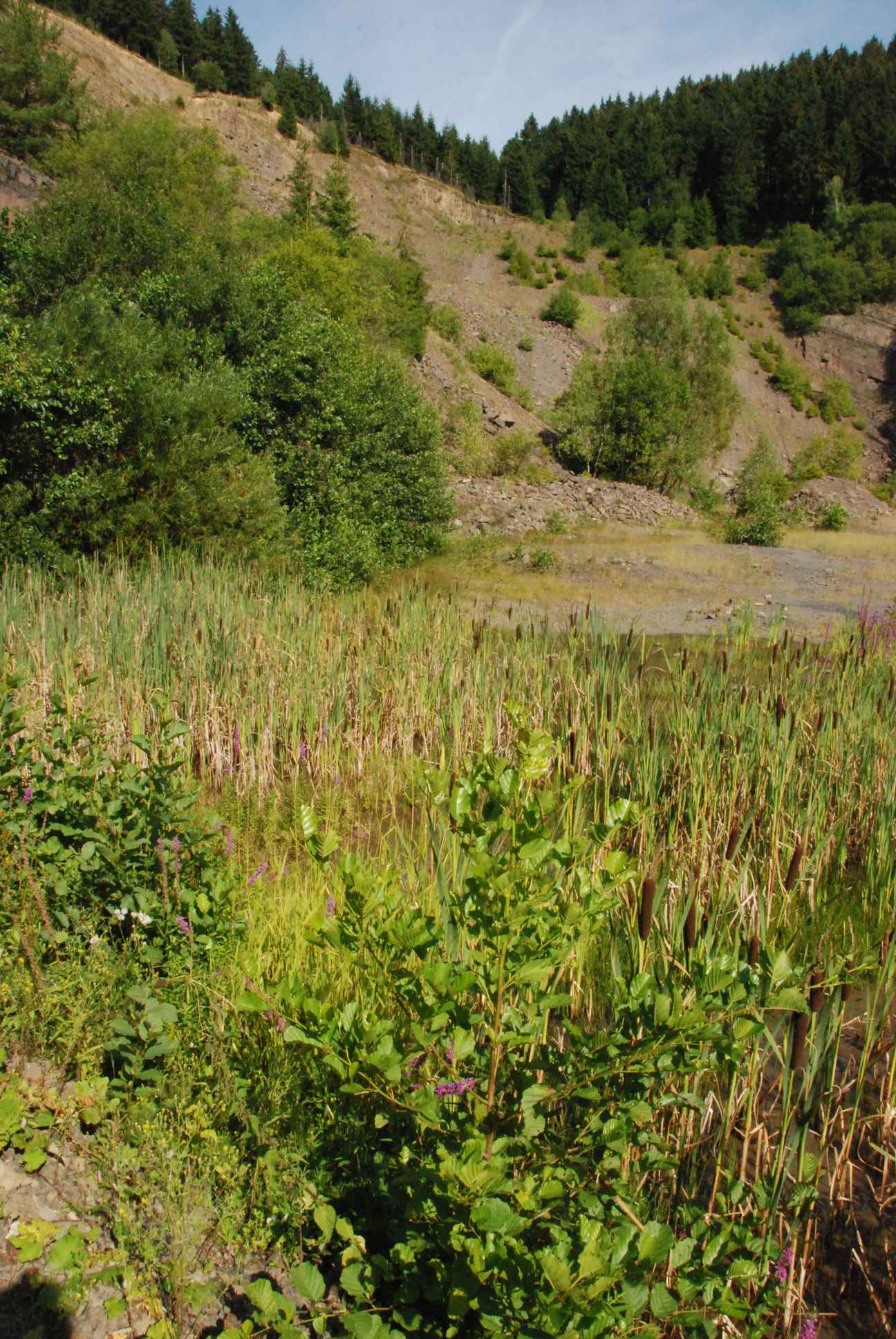 2009-08-15_ntb_4872