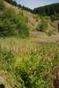 2009-08-15_ntb_4872