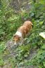 2009-08-15_ntb_4873