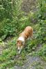 2009-08-15_ntb_4874