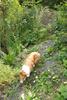 2009-08-15_ntb_4876