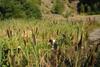 2009-08-15_ntb_4878