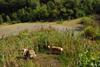 2009-08-15_ntb_4879