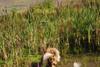 2009-08-15_ntb_4881
