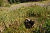 2009-08-15_ntb_4882