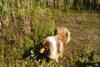 2009-08-15_ntb_4884