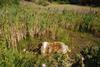 2009-08-15_ntb_4885