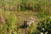 2009-08-15_ntb_4887