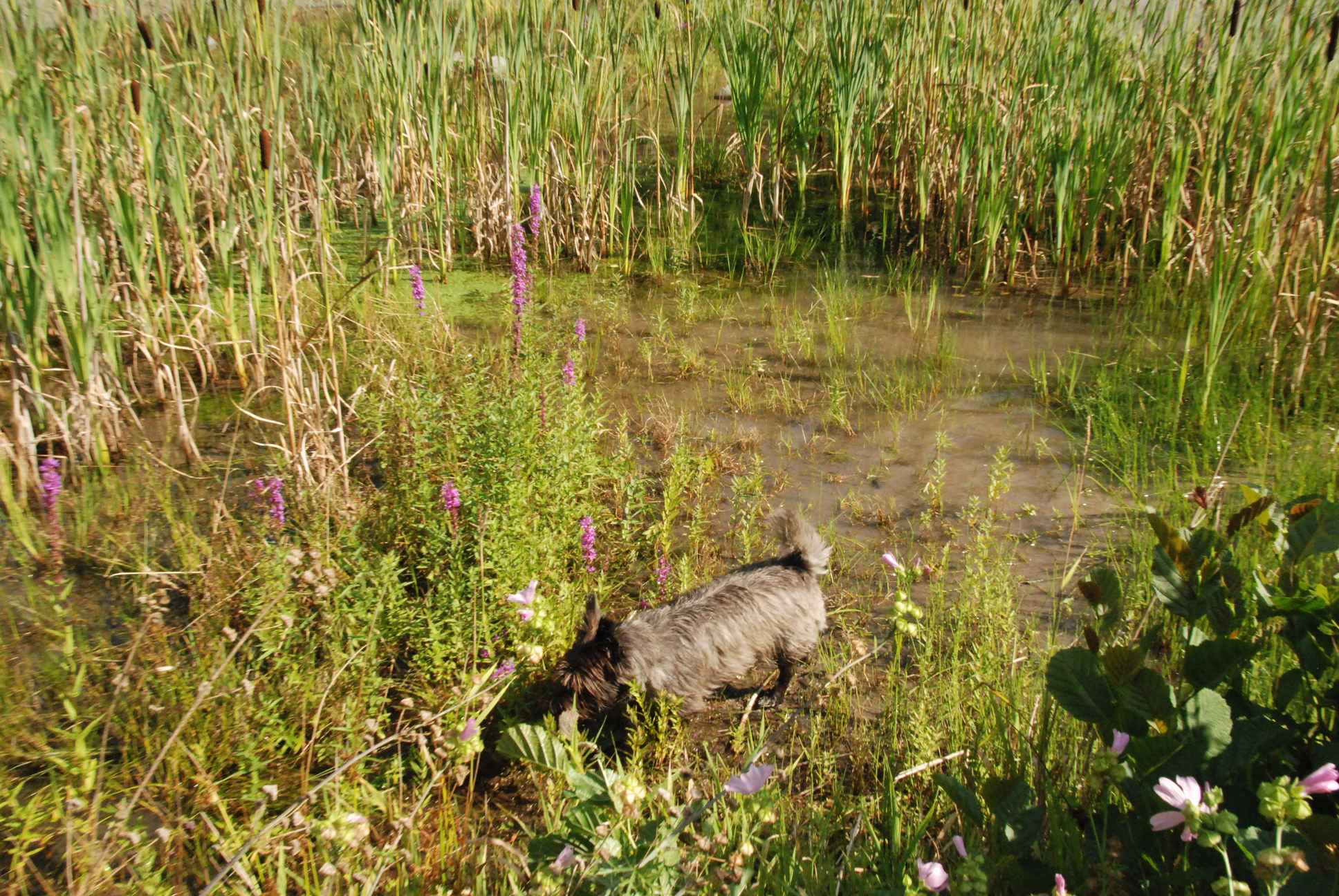 2009-08-15_ntb_4888