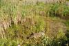 2009-08-15_ntb_4889