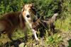 2009-08-15_ntb_4890