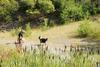 2009-08-15_ntb_4896