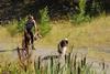 2009-08-15_ntb_4898