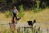 2009-08-15_ntb_4899