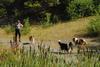 2009-08-15_ntb_4902