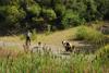2009-08-15_ntb_4903