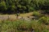2009-08-15_ntb_4904