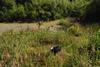 2009-08-15_ntb_4906