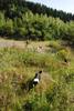 2009-08-15_ntb_4907