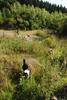 2009-08-15_ntb_4910