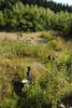 2009-08-15_ntb_4911