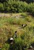 2009-08-15_ntb_4912