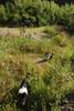 2009-08-15_ntb_4913