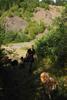 2009-08-15_ntb_4917