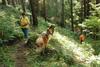 2009-08-15_ntb_4931