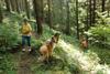 2009-08-15_ntb_4932