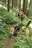 2009-08-15_ntb_4937