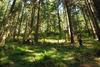 2009-08-15_ntb_4938