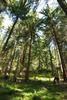2009-08-15_ntb_4939