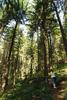 2009-08-15_ntb_4940