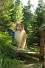 2009-08-15_ntb_4943