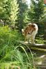 2009-08-15_ntb_4944