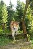 2009-08-15_ntb_4945