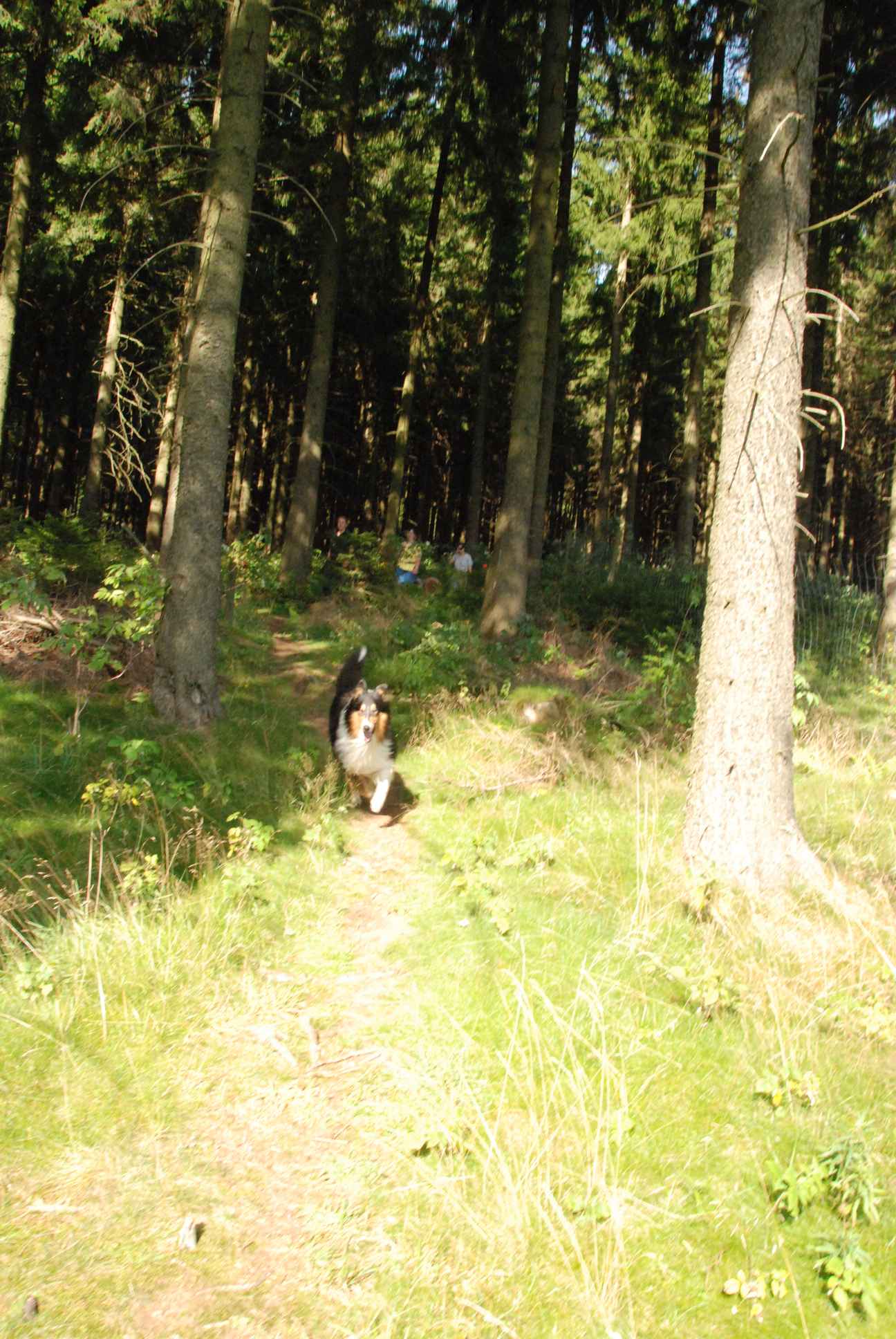 2009-08-15_ntb_4948