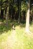 2009-08-15_ntb_4948