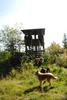 2009-08-15_ntb_4952