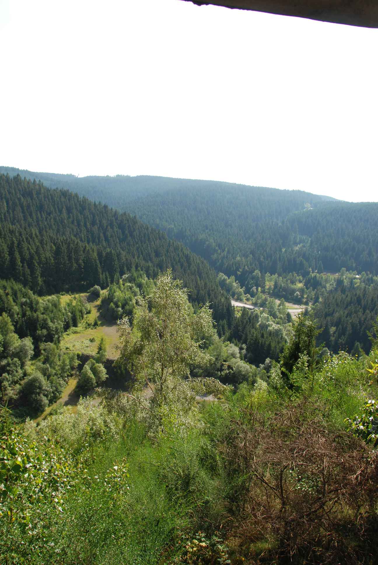2009-08-15_ntb_4955