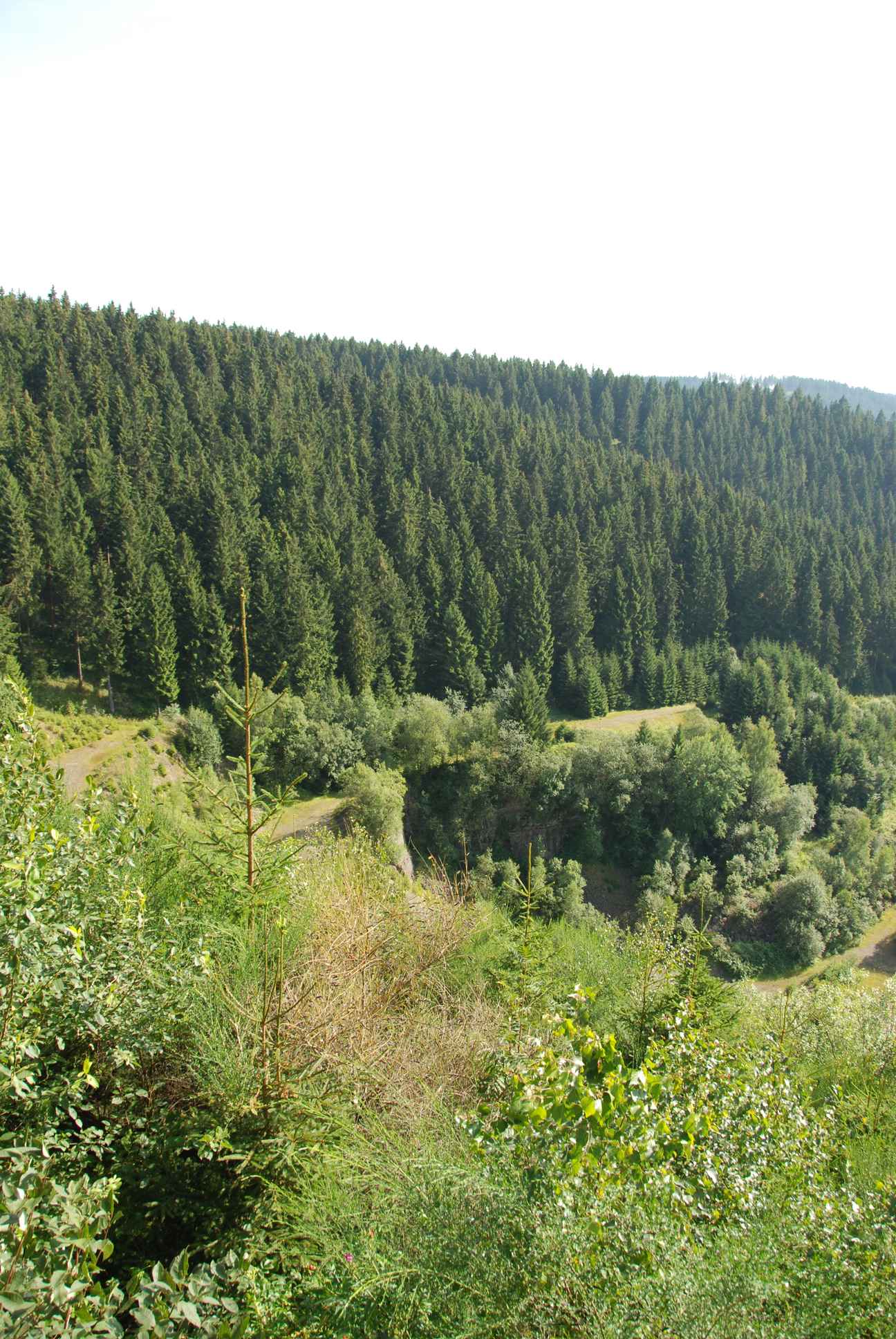 2009-08-15_ntb_4956