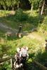 2009-08-15_ntb_4960