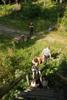 2009-08-15_ntb_4961