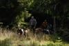 2009-08-15_ntb_4962