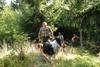 2009-08-15_ntb_4963