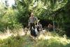 2009-08-15_ntb_4964