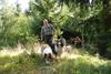 2009-08-15_ntb_4966